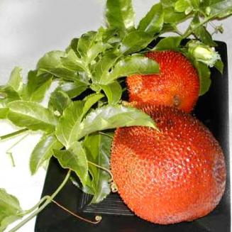 Momordica cochinchinensis (Lour.) Spreng