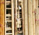 Bamboo, rattan suppliers cap prices