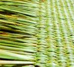 Seagrass' potential as a handicraft raw material