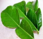 Lemon leaf is not just a kind of spice