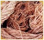 Banana fiber paper for lasting currency notes