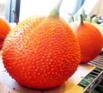  Professional GAC fruit planting 