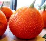 Successful application of high performance models in GAC growing