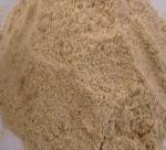 Ganoderma production from sawdust of rubber tree