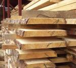 Timber exports to Middle Eastern promise 