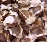 Moringa Oleifera Seeds