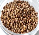 Plant cilantro in summer and get coriander seeds