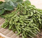 Technical planting for high yield soybean 