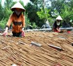 Incense Careers at Di An village