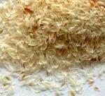 Healing effects of psyllium seeds