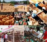 Exploration of village handicraft coconut