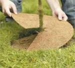 Manufacturing the world's lightest armor from coconut fiber