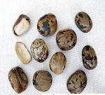 Advantages of using rubber seed to produce Biodiesel