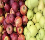 Russia to Ban All U.S. Food Imports and EU Fruit and Veg, State Media Says