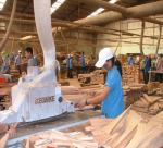 Vietnam Wood & Forest Products Expo 2013 to Open in Binh Dinh