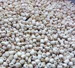Dried lotus seeds Hung Yen is rated high quality and stability.