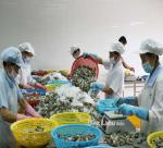Anti-dumping tariffs on shrimp sent to US see huge reduction