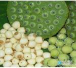 Modern medicine with the use of lotus seeds as medicine