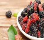 The effect of mulberry is from all parts of the plant
