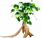 8 unexpected effects of 