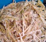 Amazed by the use of waste bagasse