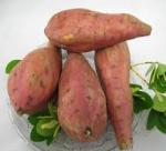 The use of sweet potato
