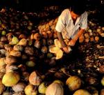 Ben Tre The “Capital” of Coconuts