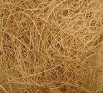 Technology take advantage of coir fiber