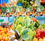 Vietnam - Israel's full cooperation in agriculture