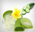 Great uses of aloe vera in beauty