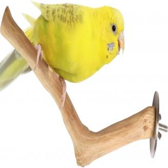 Coffee wood Single Perch